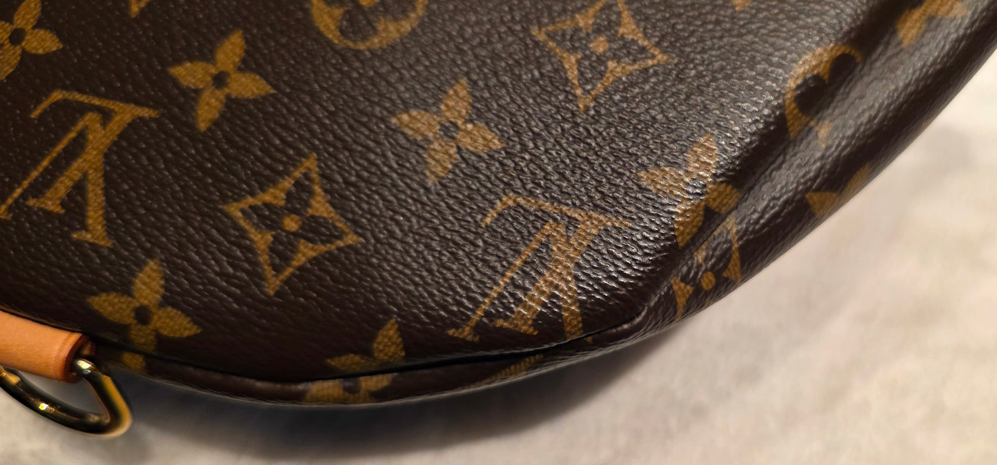 Authentic Louis Vuitton The OG Bumbag Monogram