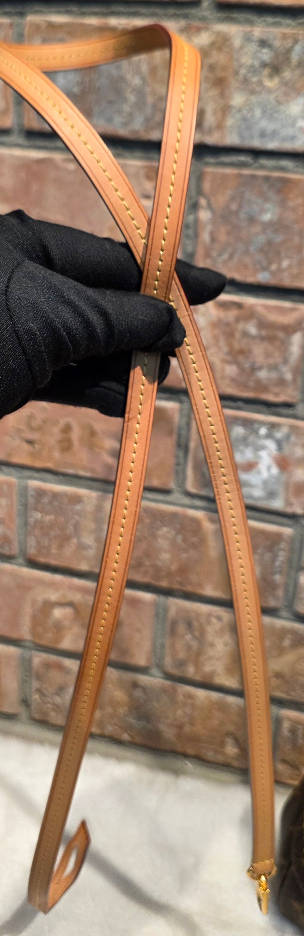 Authentic Louis Vuitton Favorite MM Monogram (SA4149)