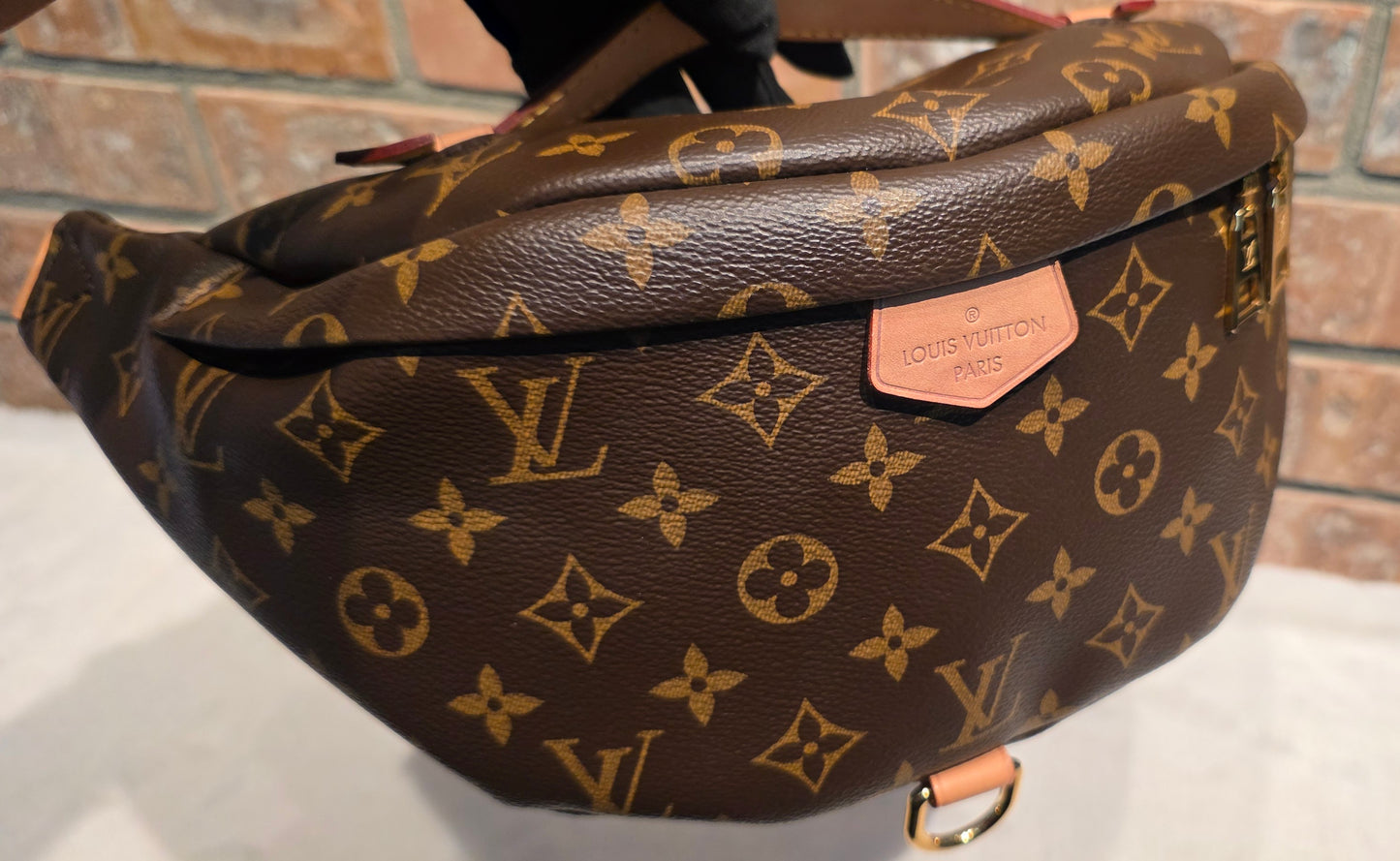Authentic Louis Vuitton The OG Bumbag Monogram