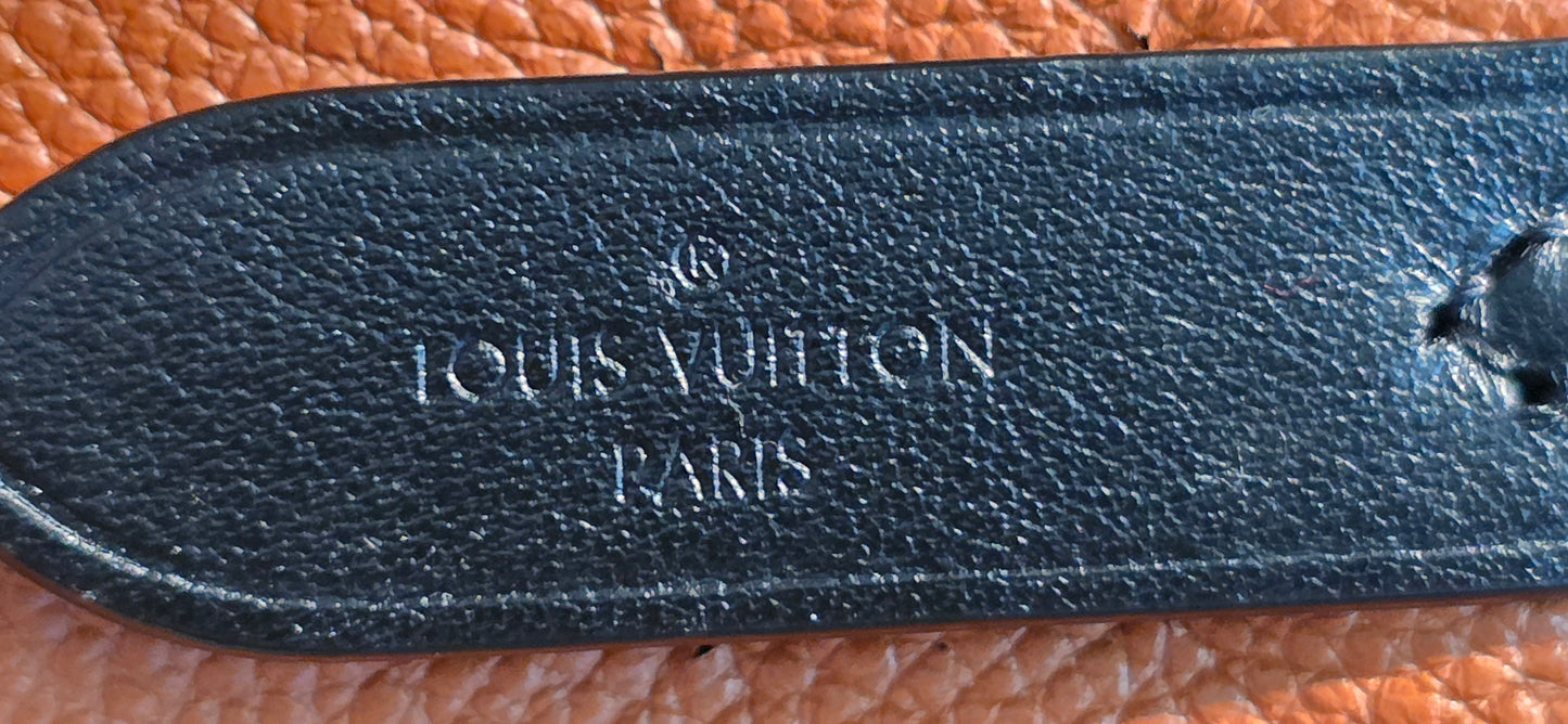 Authentic Louis Vuitton Crafty NeoNoe MM Giant Monogram in Caramel