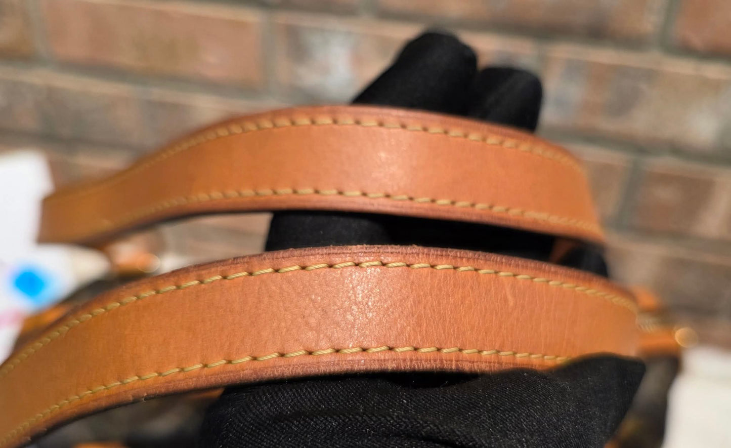 Authentic Louis Vuitton Stresa PM Monogram
