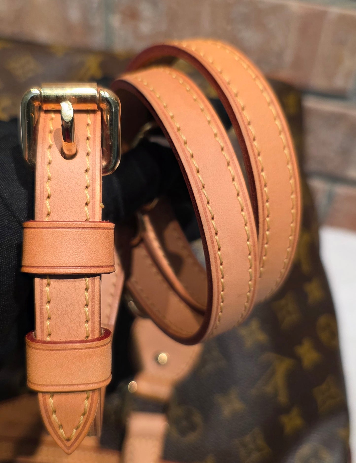 Authentic Louis Vuitton Palermo PM