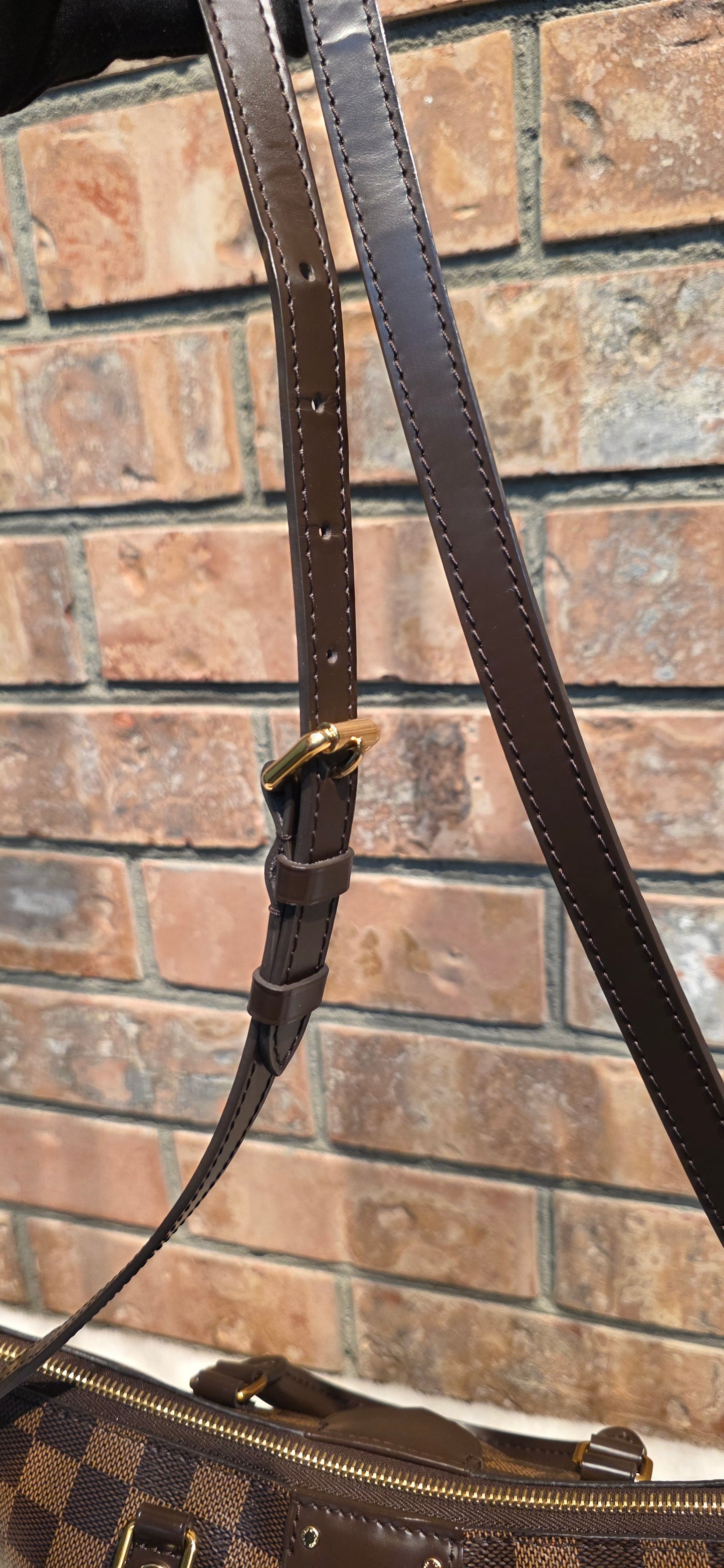 Authentic Louis Vuitton Siena PM Damier Ebene