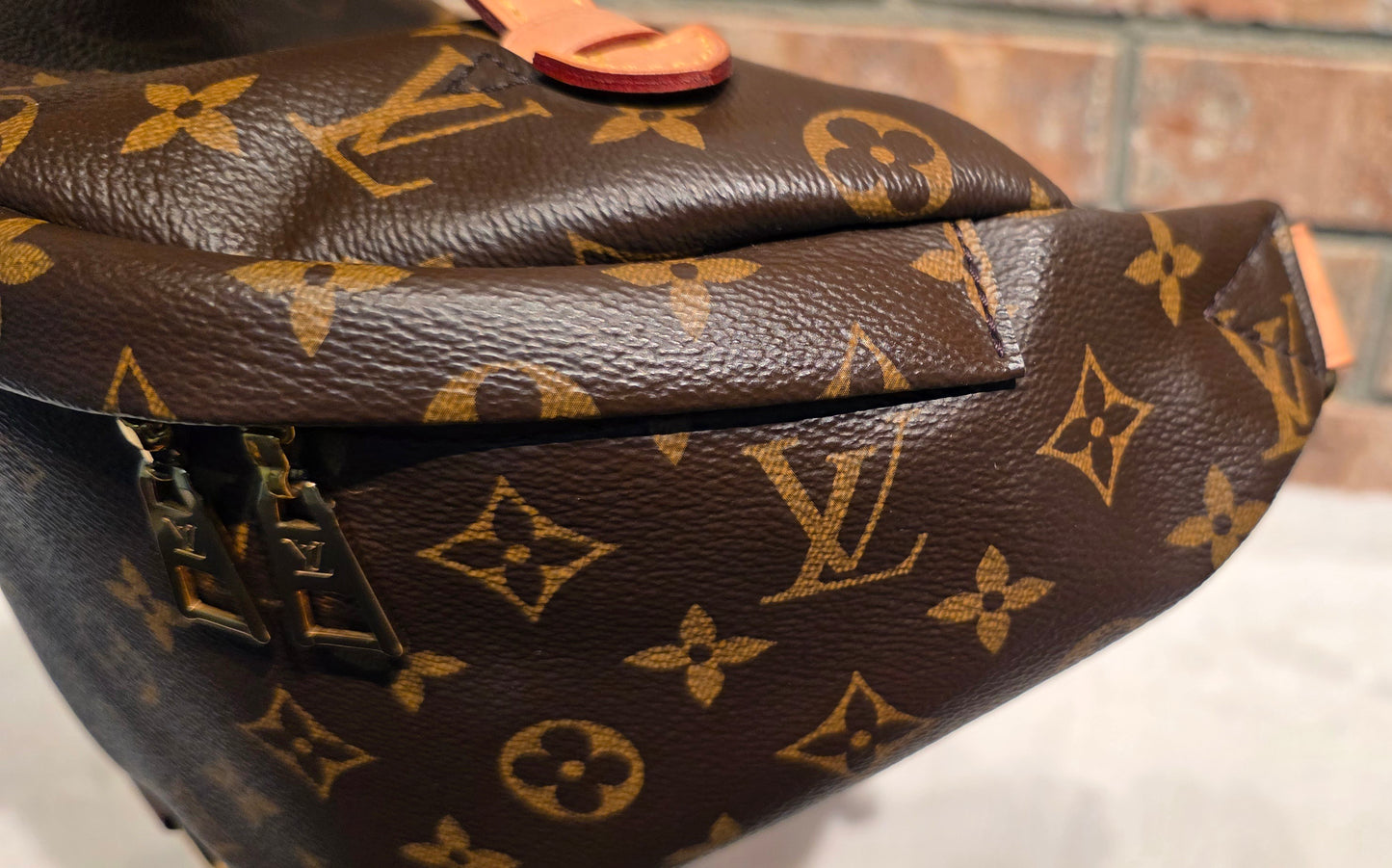 Authentic Louis Vuitton The OG Bumbag Monogram