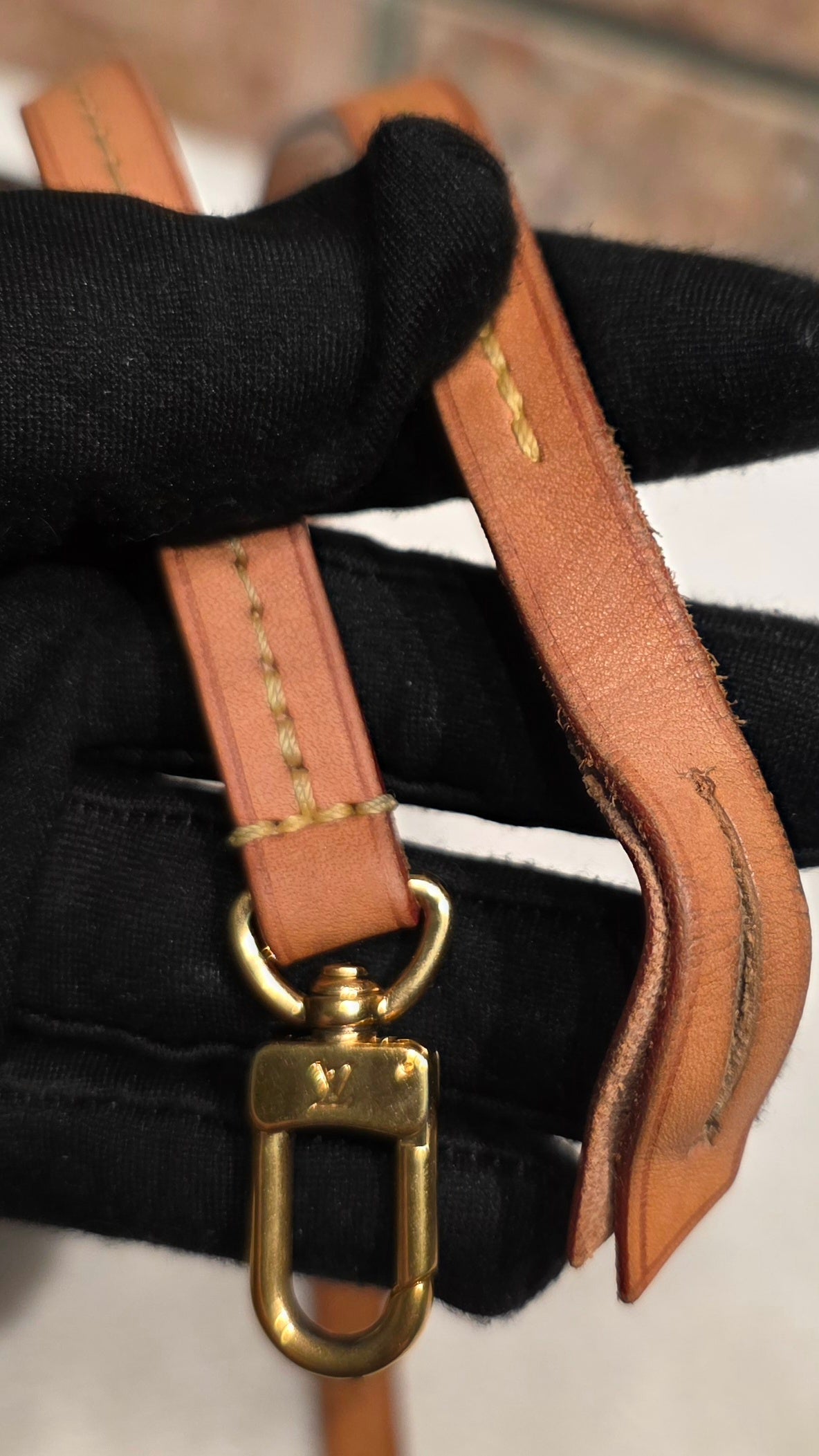 Authentic Louis Vuitton Favorite MM Monogram
