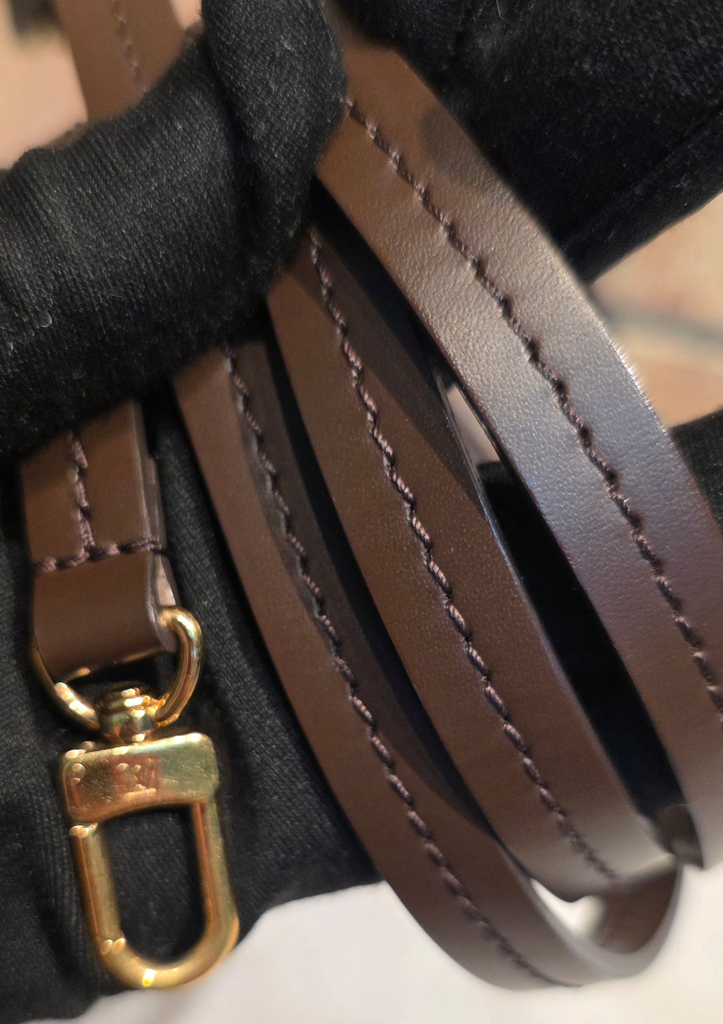 Authentic Louis Vuitton Favorite PM Damier Ebene