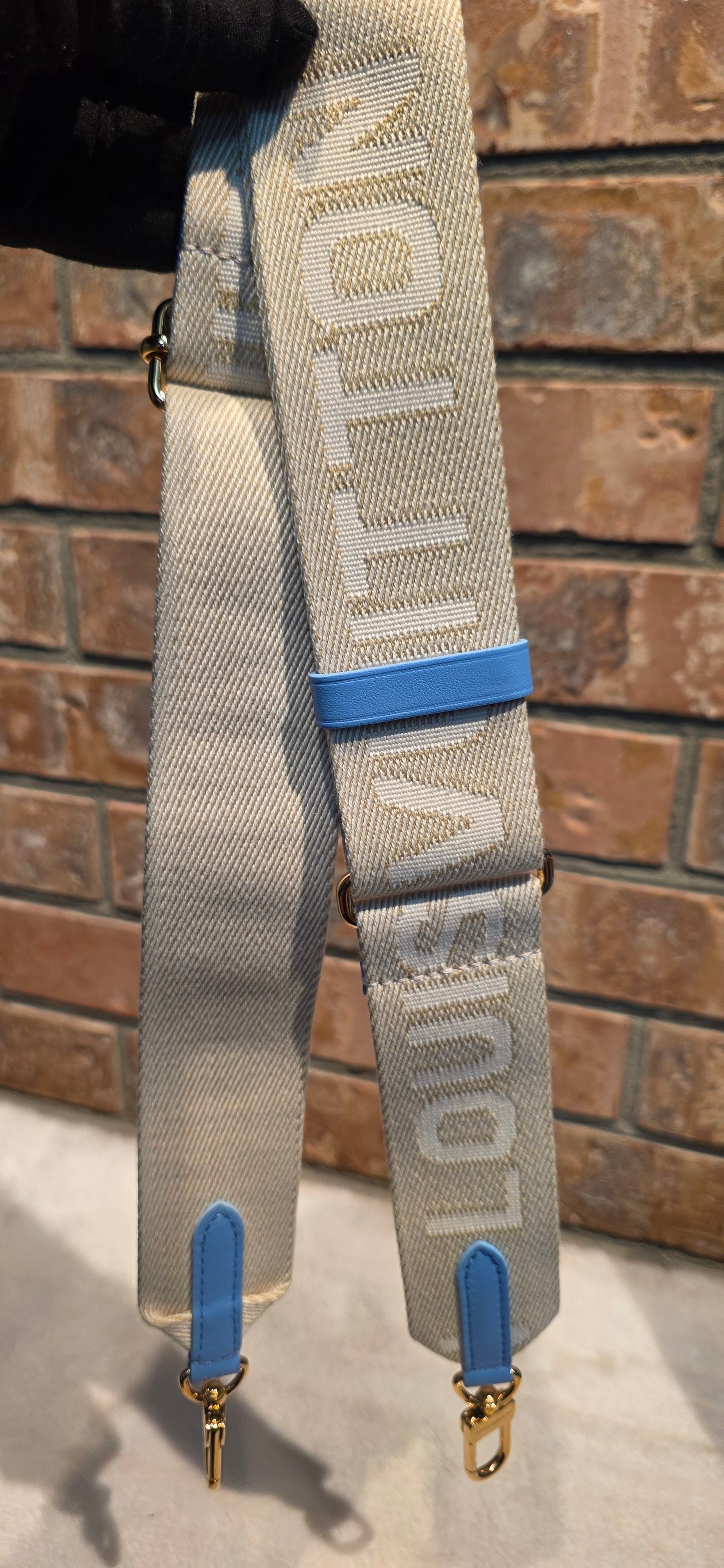 Authentic Louis Vuitton Coussin MM Embossed Monogram in Bleuet