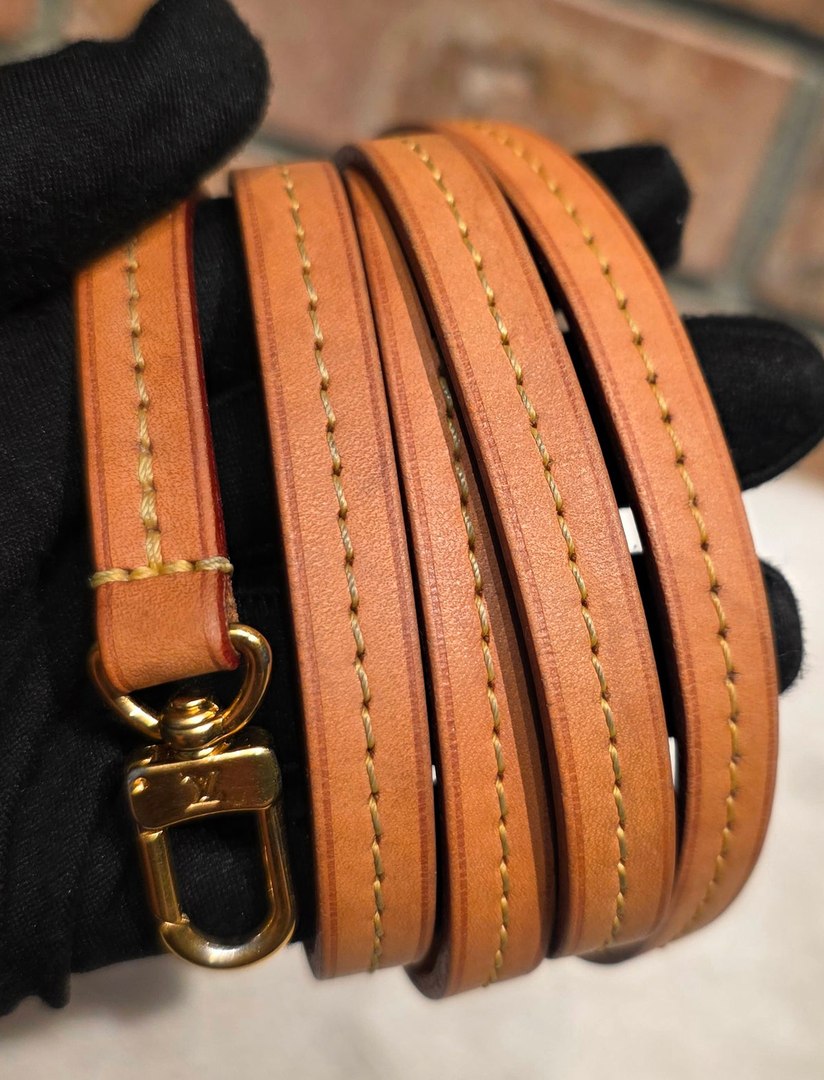 Authentic Louis Vuitton Favorite MM Monogram