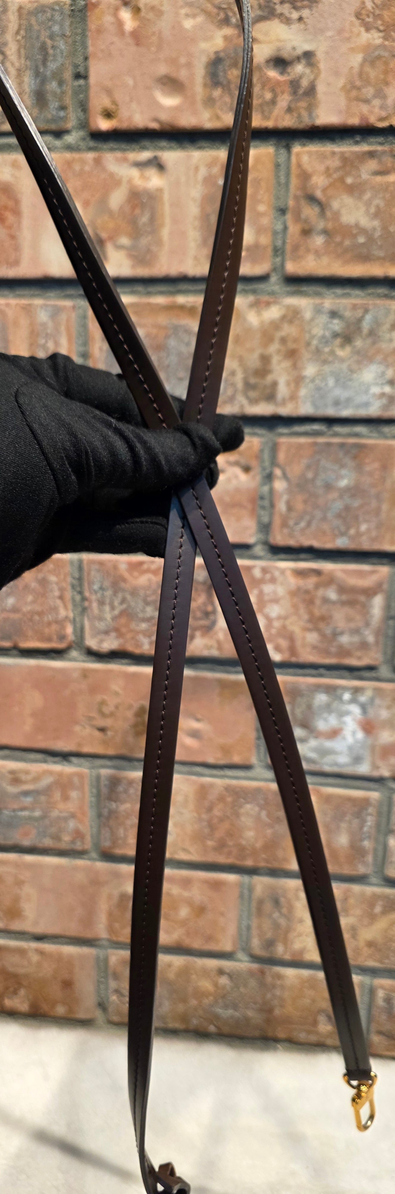 Authentic Louis Vuitton Favorite PM Damier Ebene