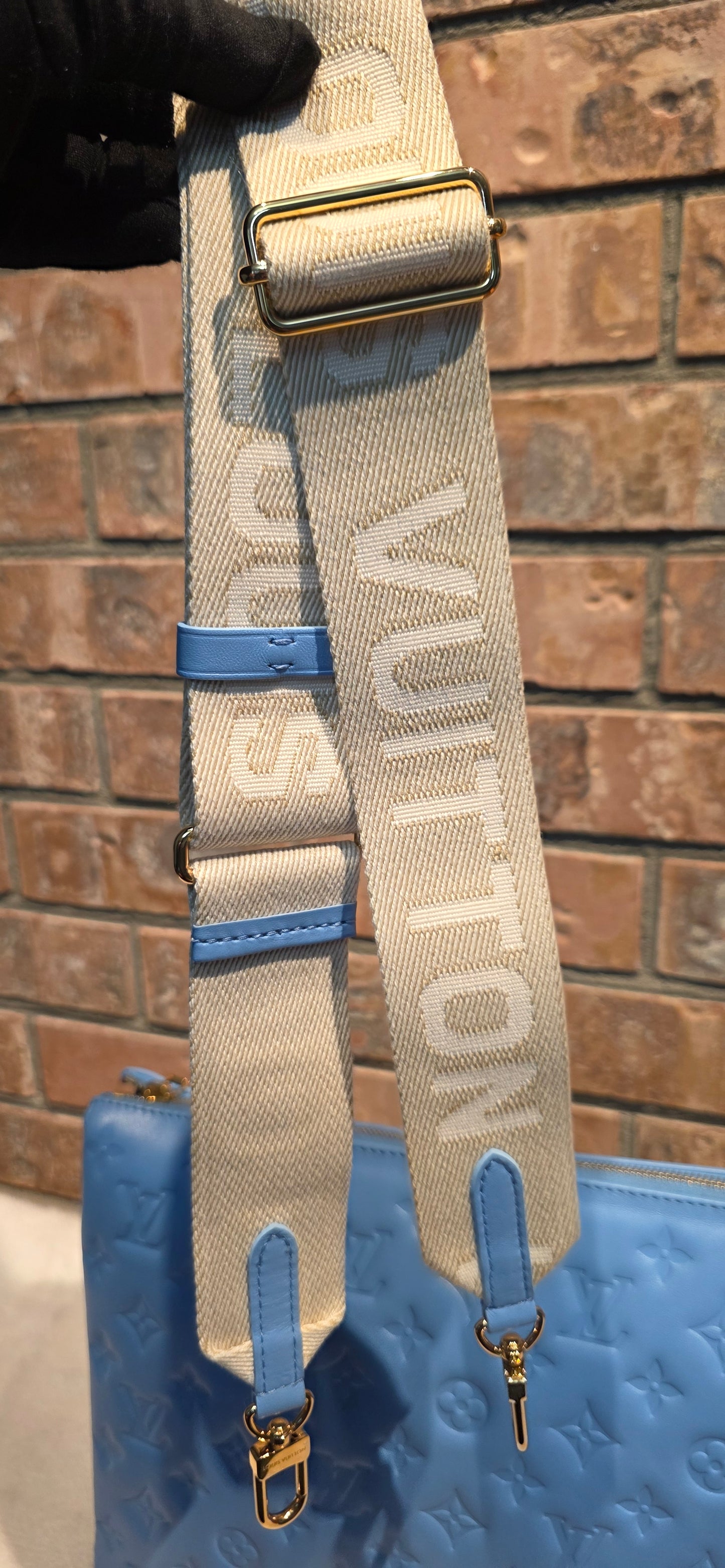 Authentic Louis Vuitton Coussin MM Embossed Monogram in Bleuet
