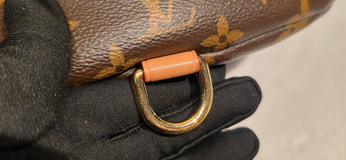 Authentic Louis Vuitton The OG Bumbag Monogram
