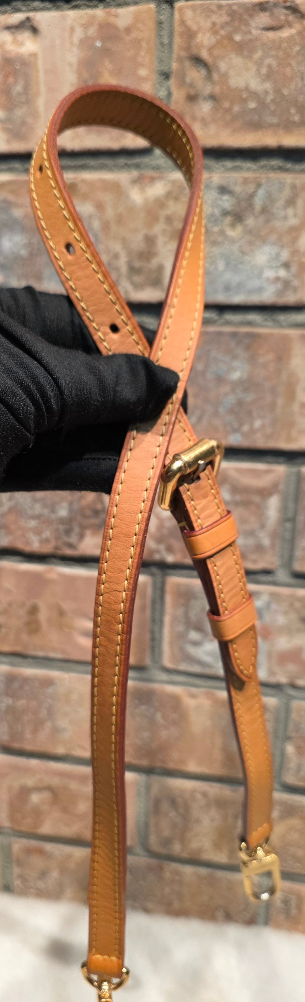 Authentic Louis Vuitton Palermo PM
