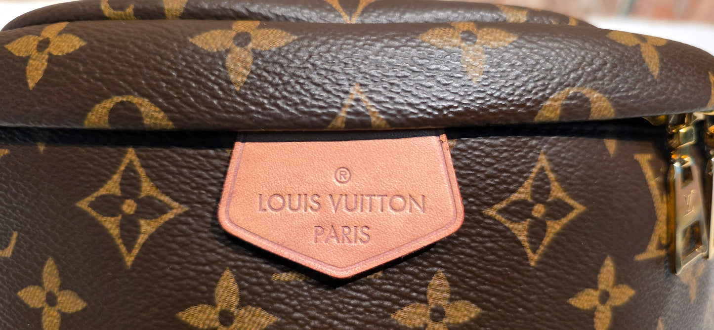 Authentic Louis Vuitton The OG Bumbag Monogram