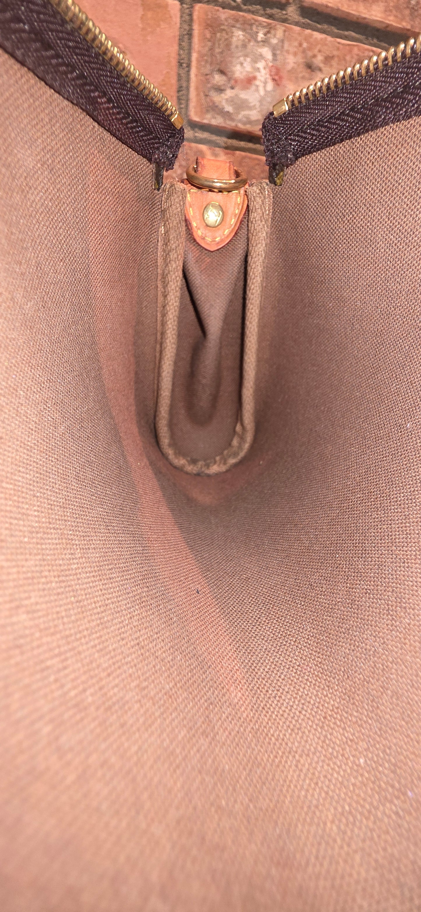 Authentic Louis Vuitton Eva Monogram