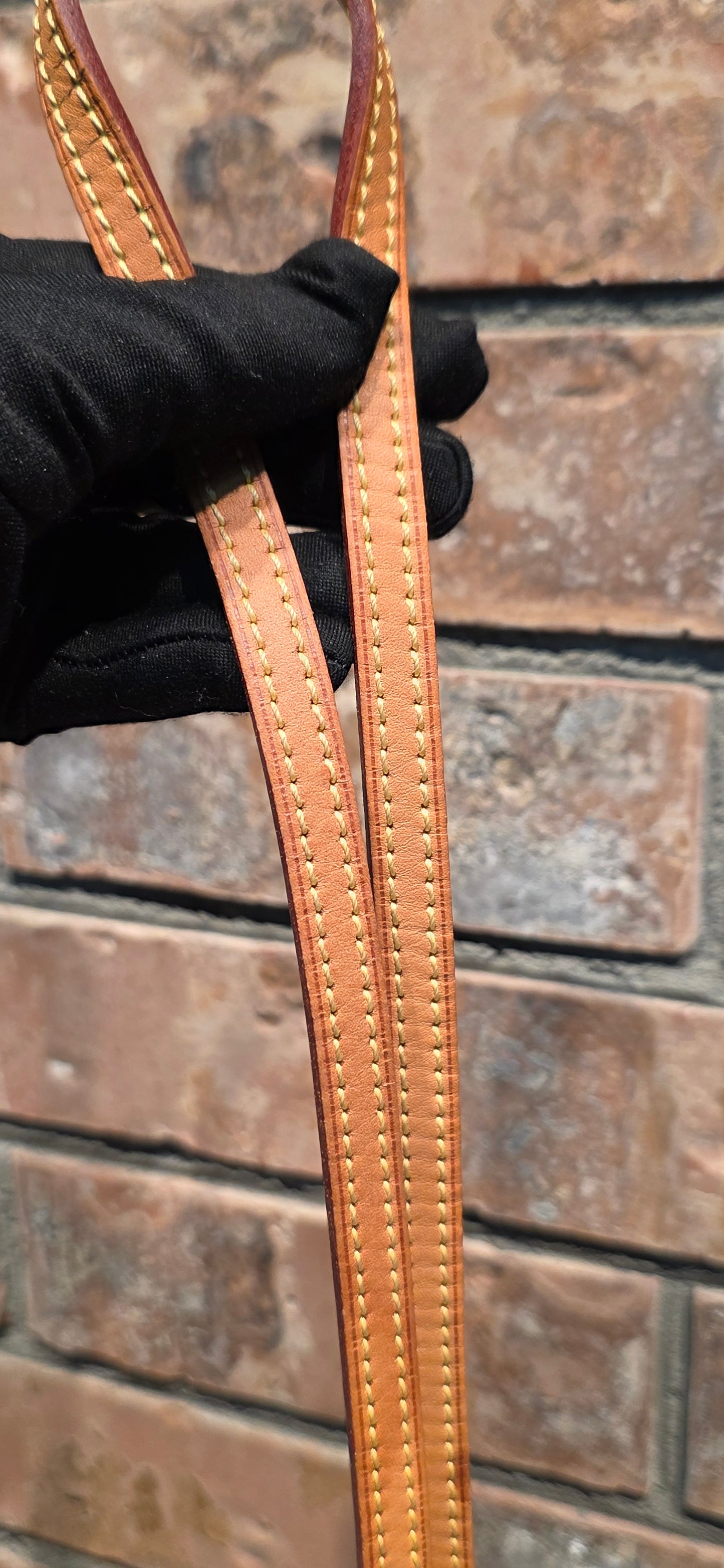 Authentic Louis Vuitton Eva Monogram