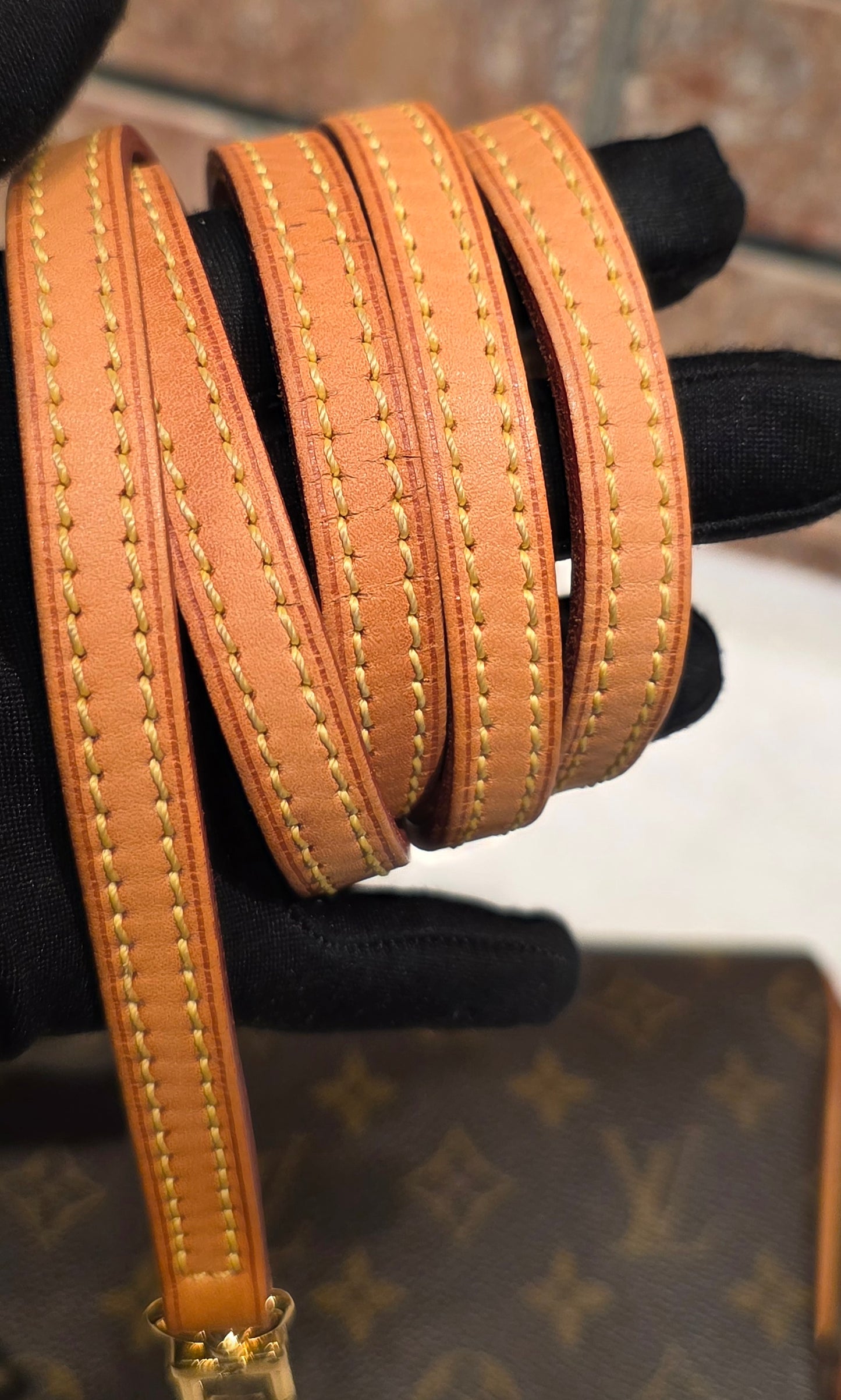 Authentic Louis Vuitton Eva Monogram