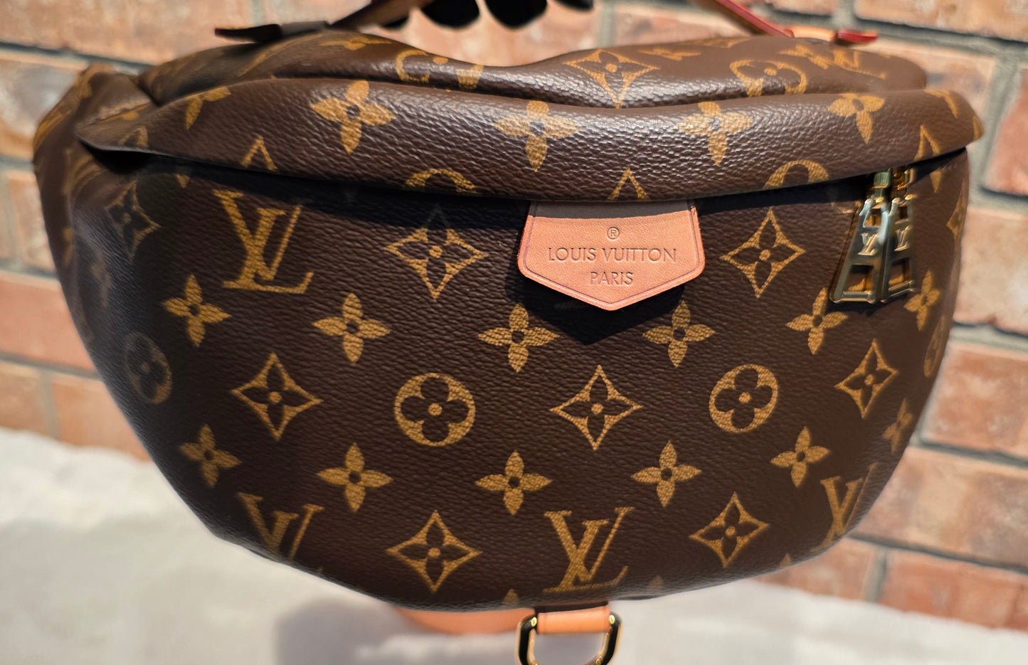 Authentic Louis Vuitton The OG Bumbag Monogram