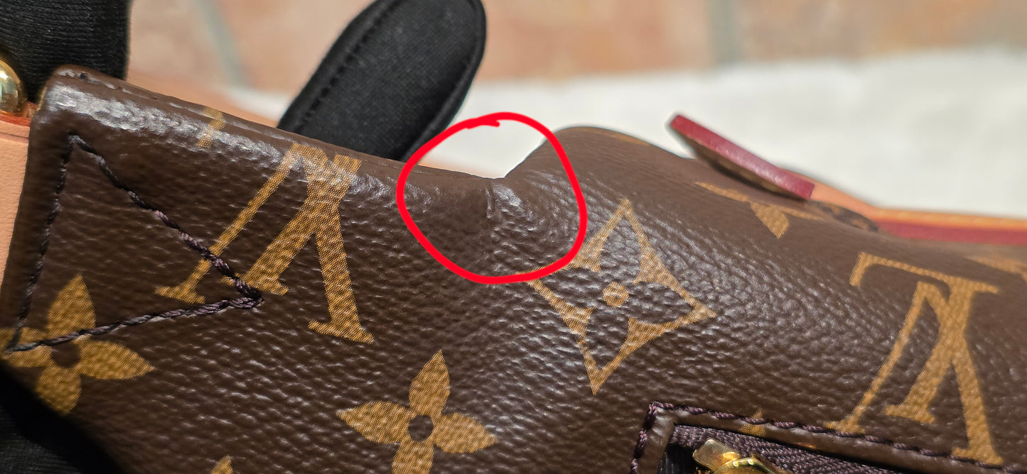 Authentic Louis Vuitton The OG Bumbag Monogram