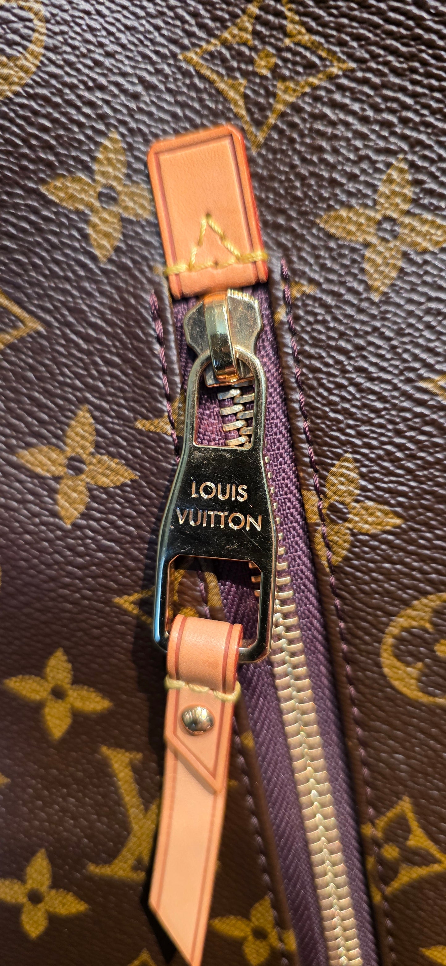 Authentic Louis Vuitton Delightful GM
