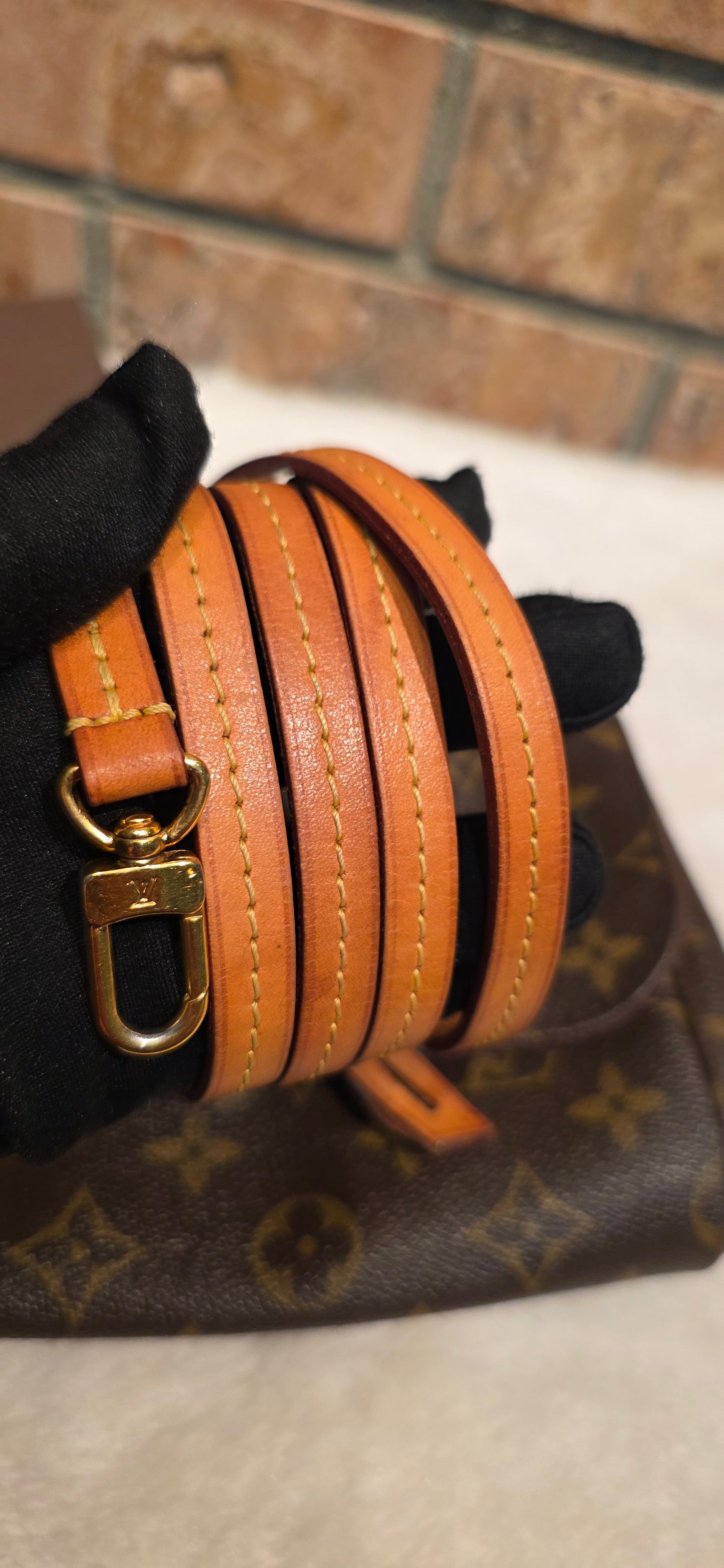Authentic Louis Vuitton Favorite MM Monogram