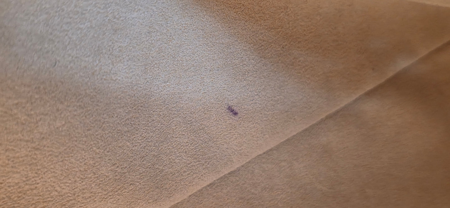 Authentic Louis Vuitton Estrela MM