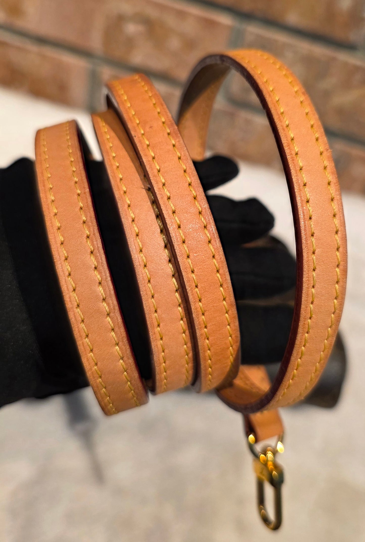 Authentic Louis Vuitton Eva Monogram