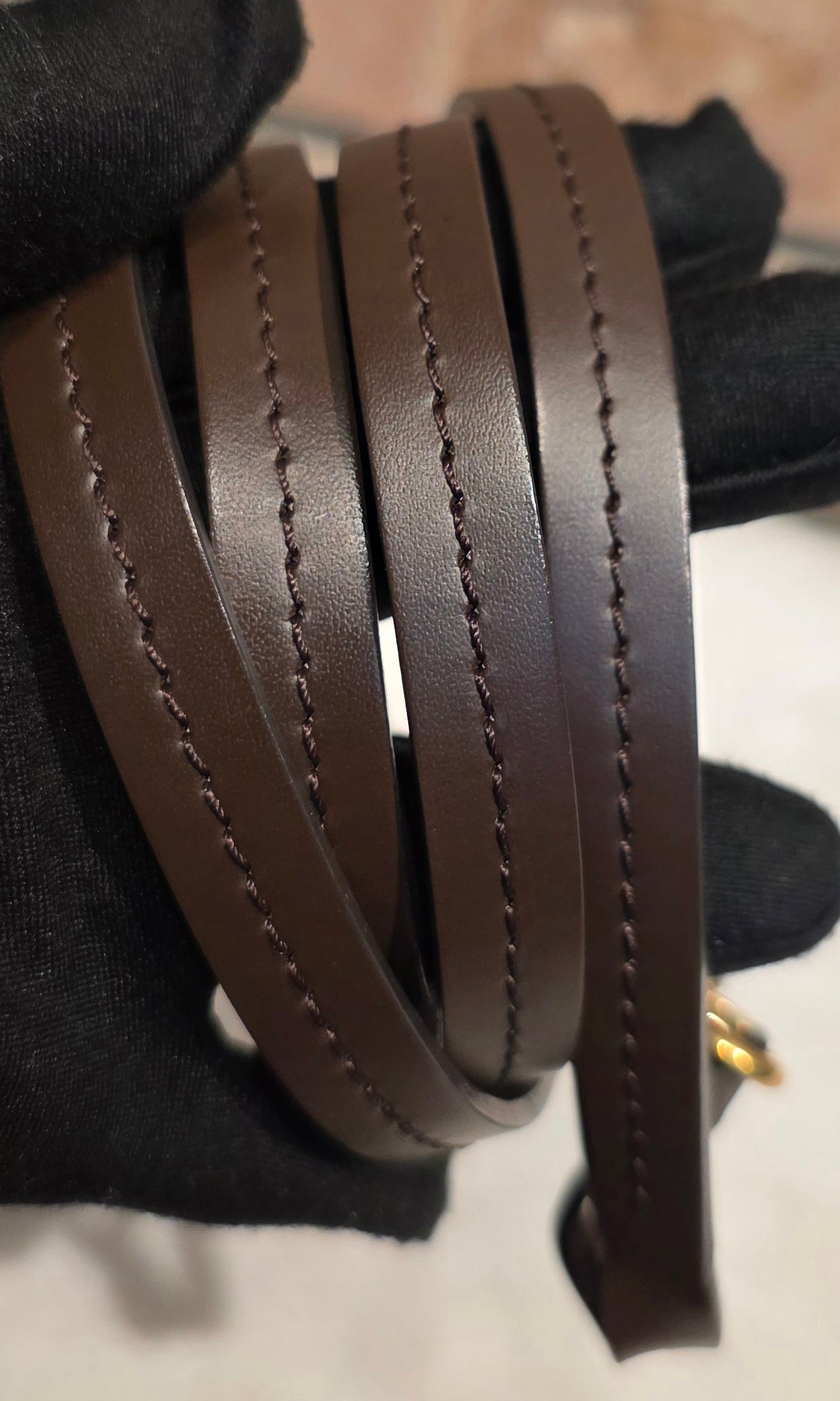 Authentic Louis Vuitton Favorite PM Damier Ebene