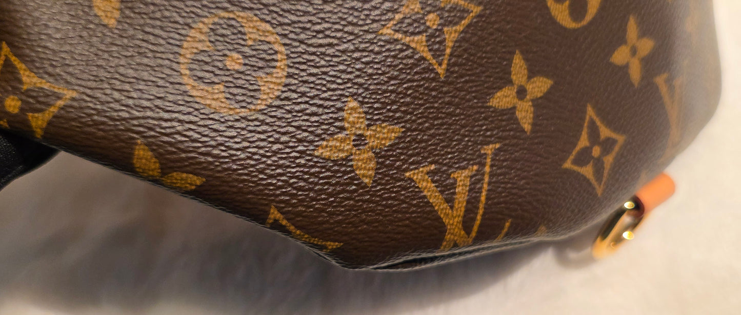 Authentic Louis Vuitton The OG Bumbag Monogram