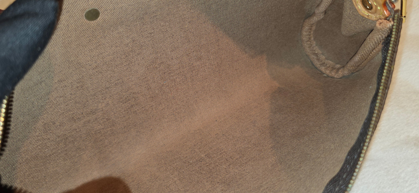 Authentic Louis Vuitton Eva Monogram