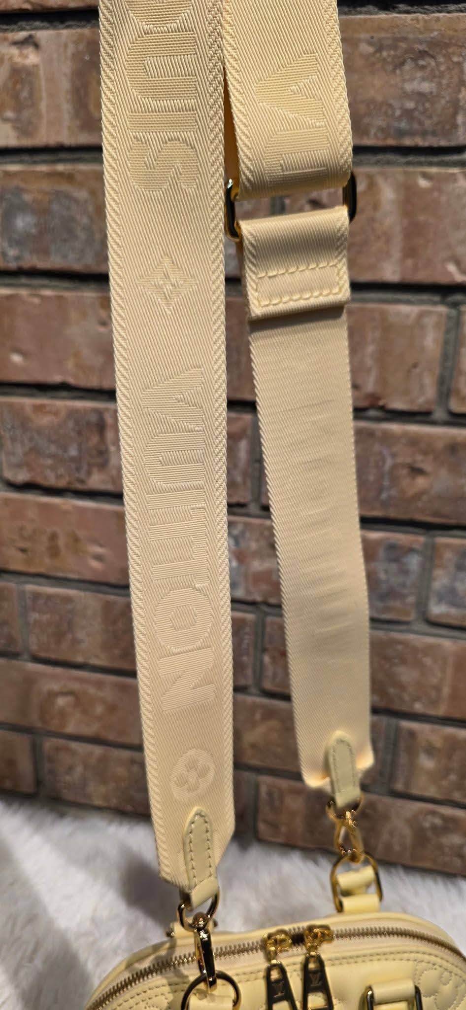 Authentic Louis Vuitton Alma BB Bubblegram Banane