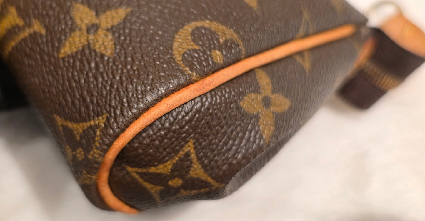 Authentic Louis Vuitton Eva Monogram