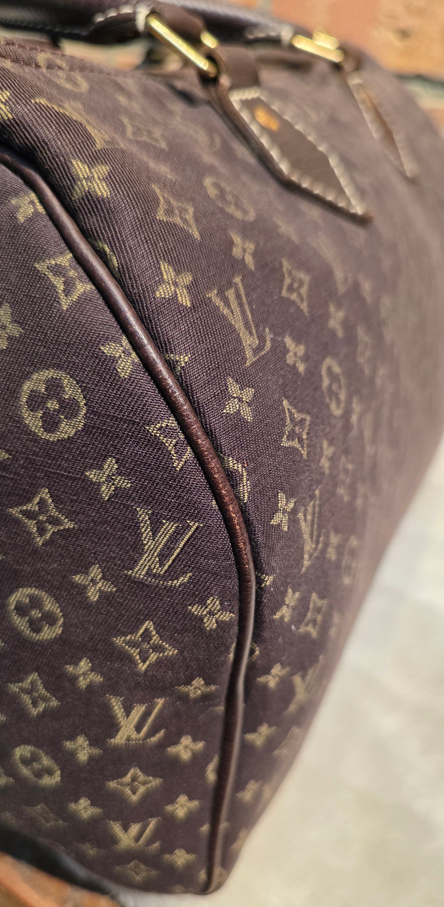 Authentic Louis Vuitton Speedy 30 Mini Lin