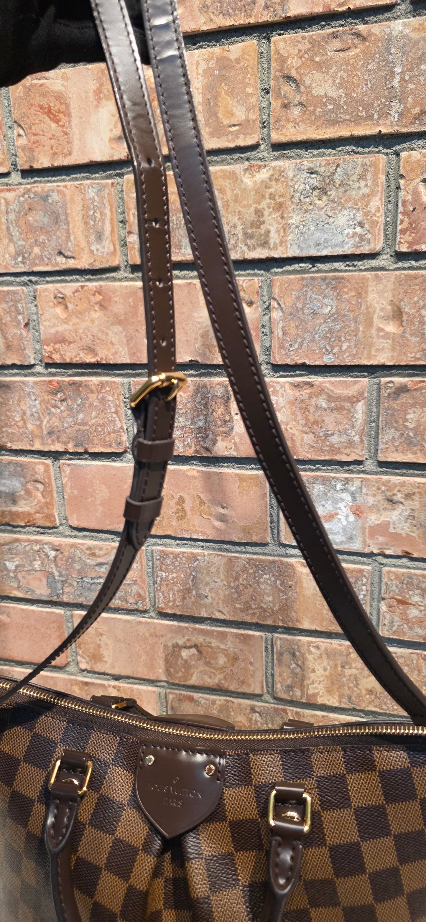 Authentic Louis Vuitton Siena PM Damier Ebene