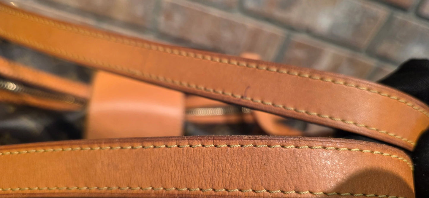 Authentic Louis Vuitton Stresa PM Monogram