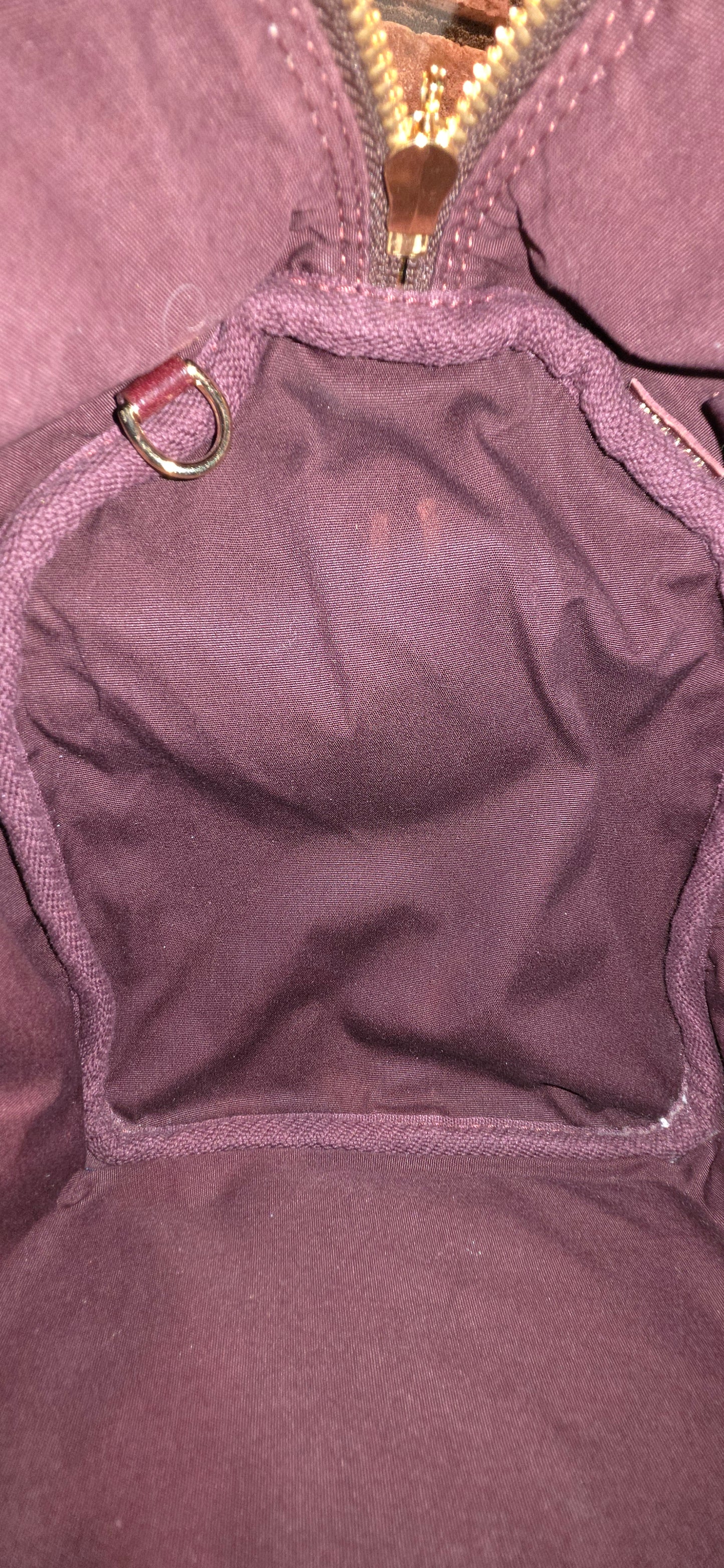Authentic Louis Vuitton Speedy Bandouliere 30 Mini Lin (Sepia)