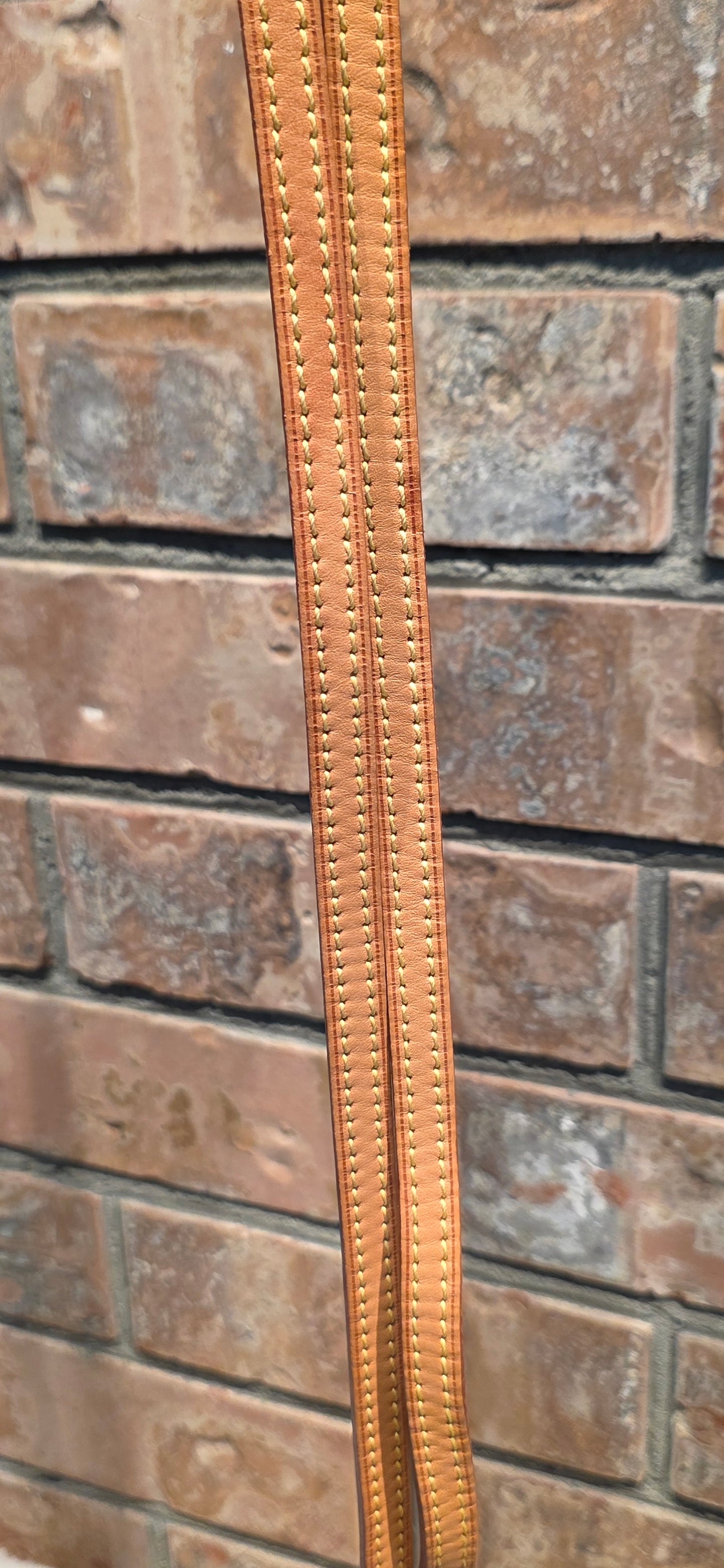 Authentic Louis Vuitton Eva Monogram