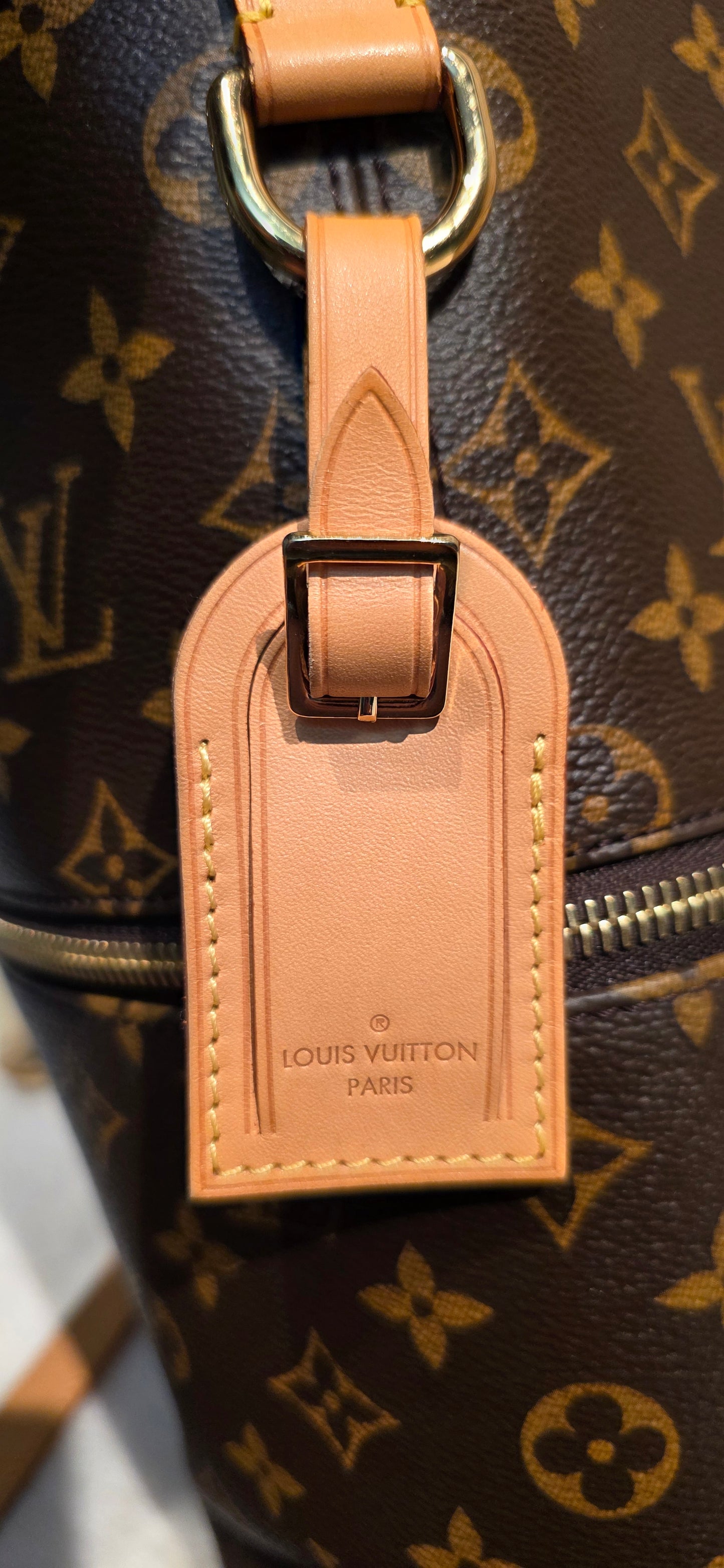 Authentic Louis Vuitton Melie Hobo (Short Handle Missing)