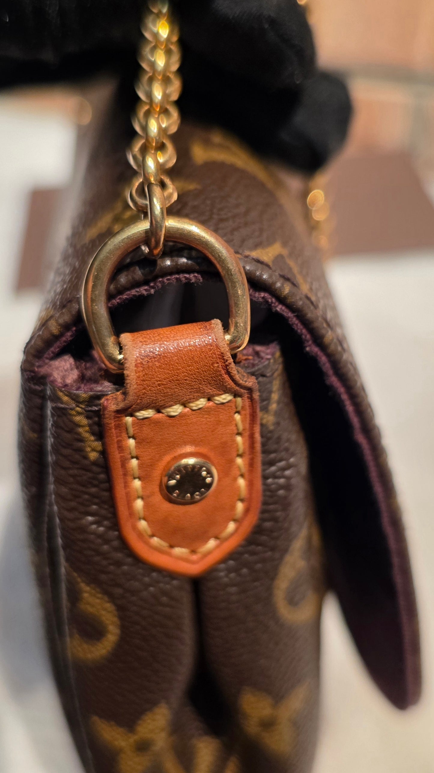 Authentic Louis Vuitton Favorite MM Monogram