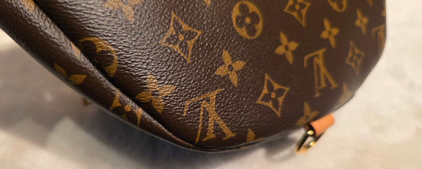 Authentic Louis Vuitton The OG Bumbag Monogram