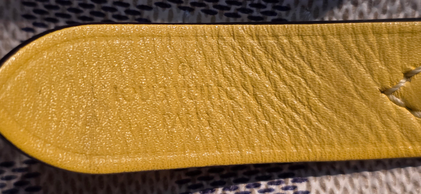 Authentic Louis Vuitton Neonoe MM Damier Azur in Pineapple