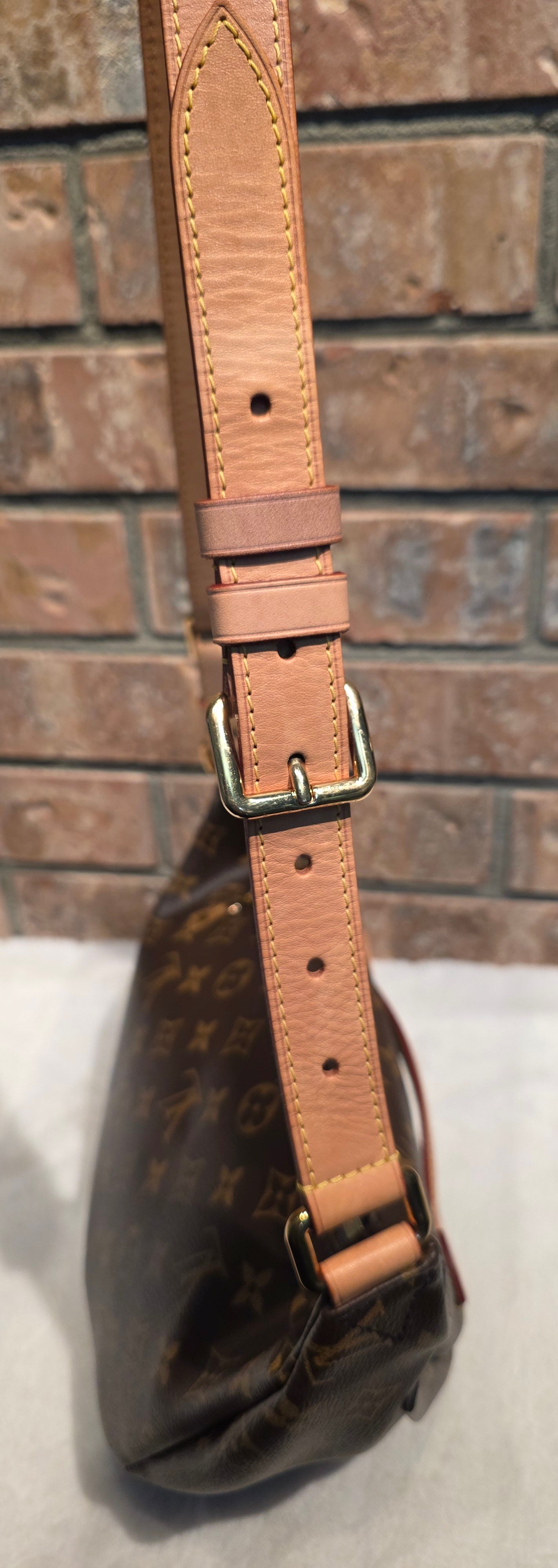 Authentic Louis Vuitton The OG Bumbag Monogram
