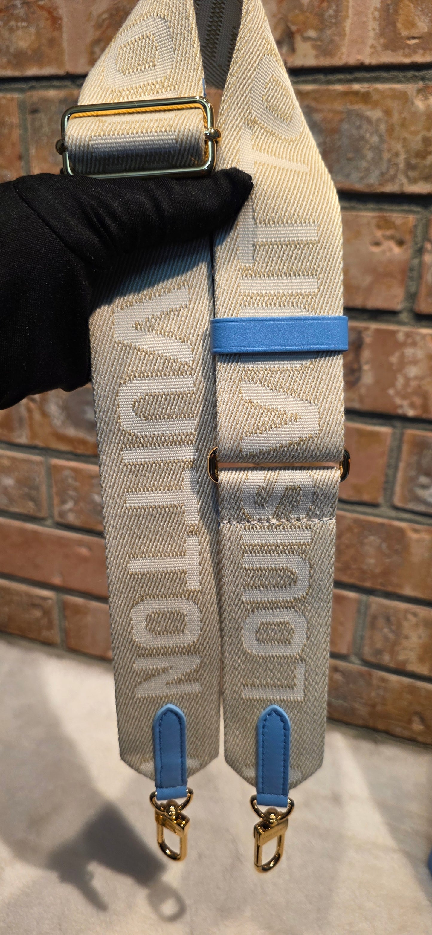 Authentic Louis Vuitton Coussin MM Embossed Monogram in Bleuet