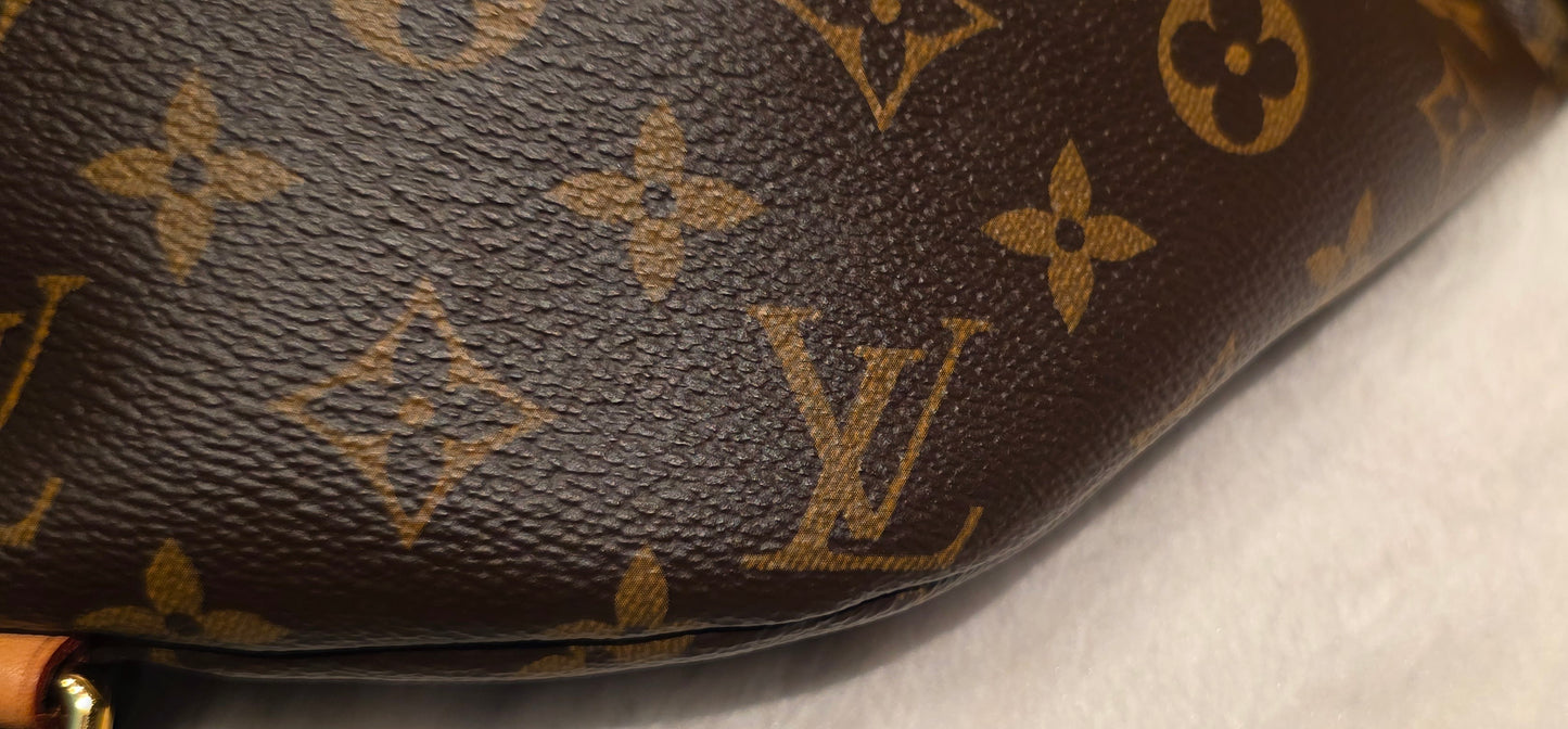 Authentic Louis Vuitton The OG Bumbag Monogram