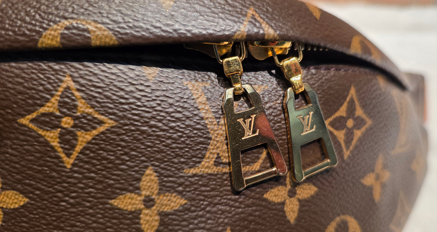 Authentic Louis Vuitton The OG Bumbag Monogram